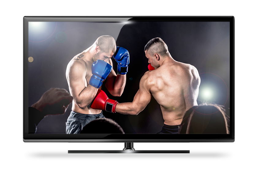 boxing-on-dish