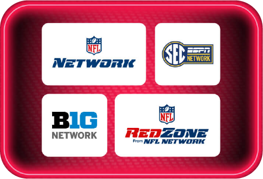 msp logo graphic Dish Network Multi-Sport Pack with NFL Network and Redzone | Dish Network NFL